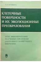 Клеточные поверхности и их эволюционные преобразования (БУ). Евгеньева Т.П.