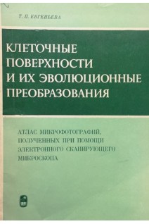 Клеточные поверхности и их эволюционные преобразования (БУ). Евгеньева Т.П.