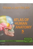 Atlas of Human Anatomy 5th Edition. International Edition (БУ). Frank H. Netter