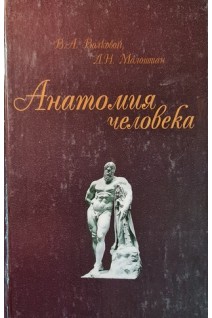 Анатомия человека. Учебное пособие для фармацевтических вузов. Волковой В.А. та ін.