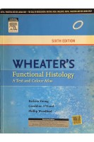 Wheater's Functional Histology. A Text and Colour Atlas. Sixth Edition (БУ). Barbara Young Geraldine O’Dowd Phillip Woodford