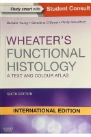 Wheater's Functional Histology. A Text and Colour Atlas. Sixth International Edition (БУ). Barbara Young Geraldine O’Dowd Phillip Woodford