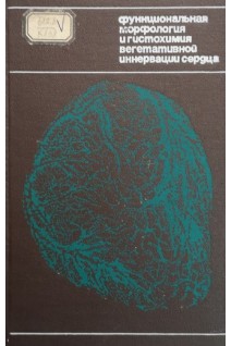 Функциональная морфология и гистохимия вегетативной иннервации сердца (БУ). Крохина Е.М.