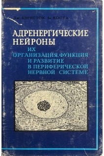 Адренергические нейроны их организация функция и развитие в периферической нервной системе (БУ). Бэрнсток Дж. Коста М.