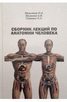Сборник лекций по анатомии человека. Шерстюк О.А.