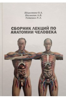 Сборник лекций по анатомии человека. Шерстюк О.А.