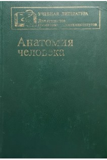 Анатомия человека (БУ). Михайлова А.А.