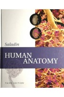 Human Anatomy Third Edition. Kenneth S. Saladin