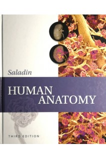Human Anatomy Third Edition. Kenneth S. Saladin