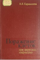 Поражение клеток при вирусных инфекциях (БУ). Кармышева В.Я.