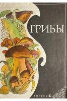 Грибы (буклет) (БУ). Смирнов В.И.