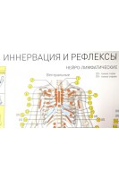 Плакаты: Прикладная кинезиология - иннервация и рефлексы