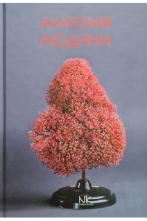 Анатомія людини: підручник для студентів фармацевтичного факультету. Матешук-Вацеба Л.Р.