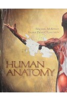Human Anatomy. Michael McKinley Valerie O’Loughlin