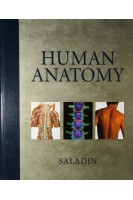 Human Anatomy 1st Edition. Kenneth S. Saladin