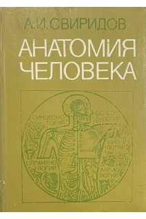 Анатомия человека (БУ). Свиридов А.И.