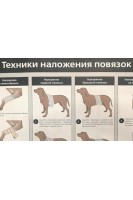 Плакат ТЕХНИКИ НАЛОЖЕНИЯ ПОВЯЗОК 84х59 см