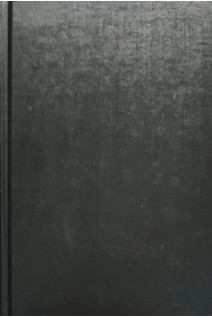 Culturally Diverse Children and Adolescents: Assessment Diagnosis and Treatment First Edition (БУ). Ian A. Canino Jeanne Spurlock