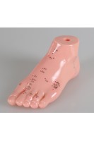 Акупунктурна модель стопи