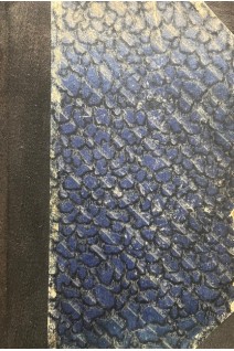 Болезни домашних и комнатных птиц. Болезни органов пищеварения. Болезни наружные. Заразные болезни птиц (БУ). Макаревский А.Н.