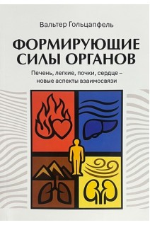 Формирующие силы органов. Печень легкие почки сердце-новые аспекты взаимосвязи. Вальтер Гольцапфель
