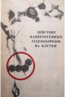 Действие канцерогенных углеводородов на клетки (БУ). Андрианов Л.А.