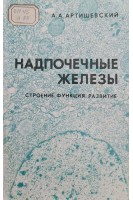 Надпочечные железы (строение функция развитие) (БУ). Артишевский А.А.