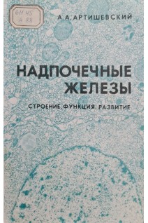 Надпочечные железы (строение функция развитие) (БУ). Артишевский А.А.
