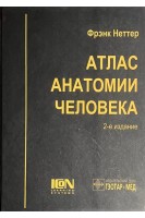 Атлас анатомии человека. 2-е издание. Кольорова копія (БУ). Неттер Ф.