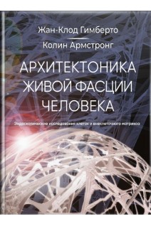 Архитектоника живой фасции человека. Эндоскопические исследования внеклеточного матрикса и клеток. Гимберто Ж.К. Армстронг К.