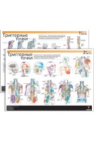 Плакат. Тригерні точки. 2 частини