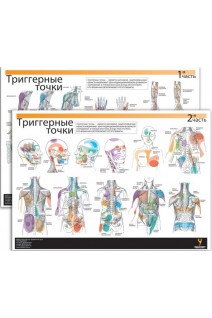 Плакат. Тригерні точки. 2 частини