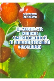 Целебность вишни обыкновенной и вишни птичьей (черешни). Липкан А.Г.