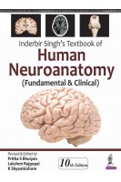 Inderbir Singh's Textbook of Human Neuroanatomy: (Fundamental & Clinical). 10th Edition (БУ). Pritha S Bhuiyan Lakshmi Rajgopal K Shyamkishore