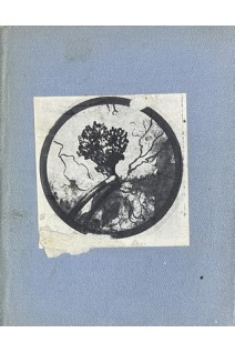 Опухоли мочевого пузыря и их лечение (БУ). Пытель А.Я.