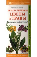 Лекарственные цветы и травы. Наглядный карманный определитель. Митителло Ксения