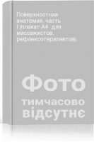 Поверхностная анатомия часть I (плакат А4  для массажистов. рефлексотерапевтов). 